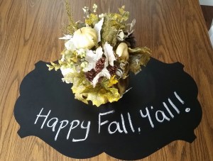 20150924_111349-1 - Copy